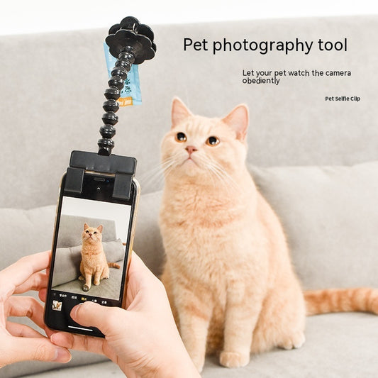 Pet Selfie Tool! - Capture your pet's moments - Pawsome Pets Premium